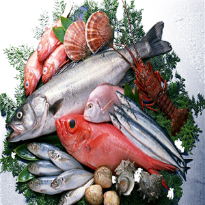 南方水產品加盟 把握商機，開拓水產品市場新藍海