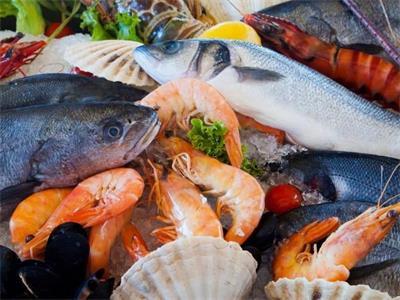 水產品線上消費升級趨勢日益凸顯