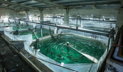 喜報！國信集團兩家水產品公司入選青島首批新經濟潛力企業